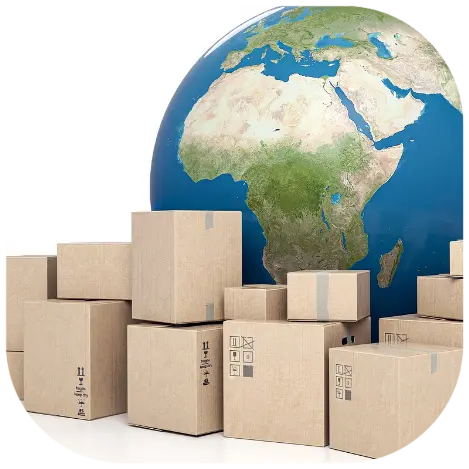 fobiplastic delivery fobiplastic delivery